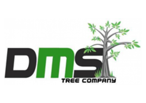 DMS Tree Removal