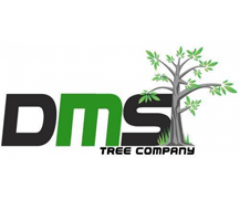 DMS Tree Removal