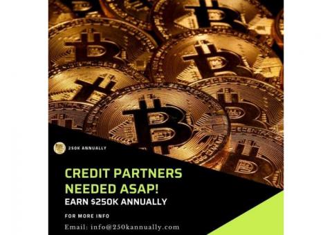 CREDIT PARTNERS Needed ASAP! EARN $250K Annually