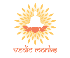 Vedic Astrologer in the USA