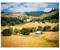 Captivating Barns Photography Prints for Sale in Coos Bay