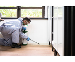 Safeguard Your Home: Expert Pest Control in Orange County