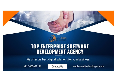 Top Enterprise Software Development Agency Call +91 7003640104