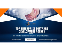 Top Enterprise Software Development Agency Call +91 7003640104