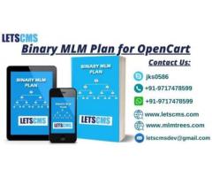 Binary MLM Software for Binary System Network Marketing Plan