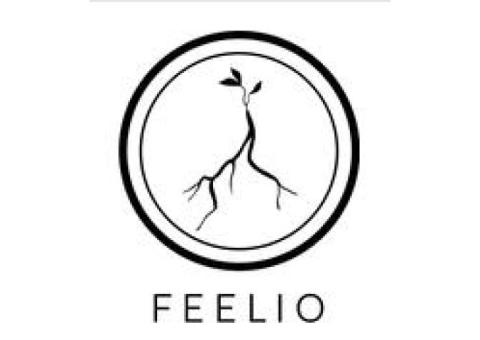 Yoga Blocks and Accessories - Feelio Blocks
