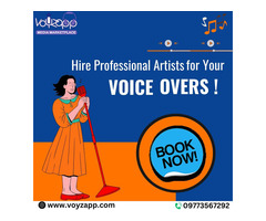 Hire Professional Voice Assistant Over-over Actor/Artists