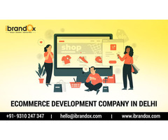 Top eCommerce Development Company in Delhi: iBrandox