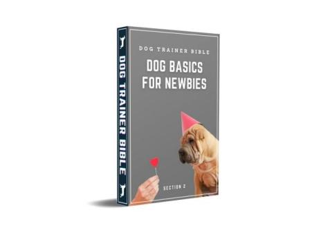 Train your dog easier with this e-book