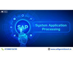 Best SAP Training in BTM Bangalore - Softgen Infotech