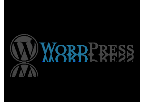 Create easy to use sites by taking help from WordPress services