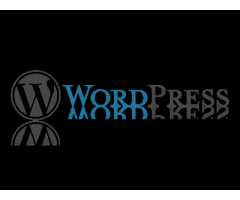 Create easy to use sites by taking help from WordPress services