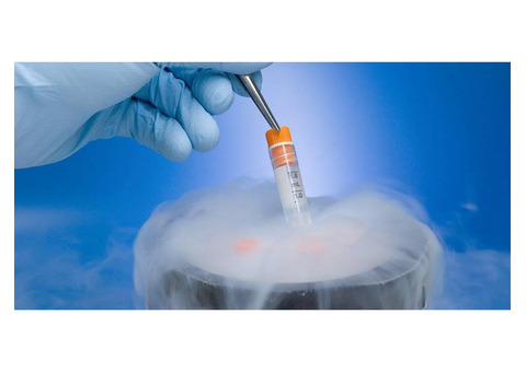Book Free Consultation-Best gynecologist in Bangalore