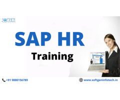 Best SAP HR Training in BTM Bangalore | Softgen Infotech