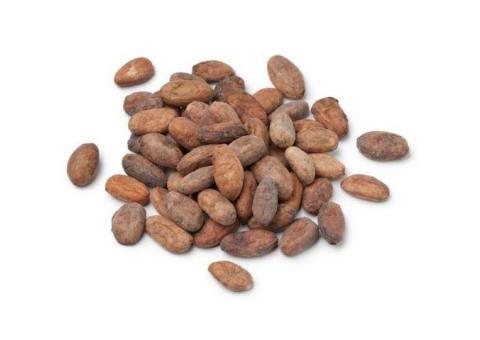 Cacao Bio ou Conventionnel Soldes