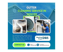 Click Here to Schedule Denver Gutter Cleaning for A Worry-Free Year