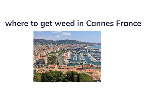 Where to Get Weed in Cannes France
