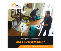 DISASTER MASTER WATER DAMAGE EXTRACTION SERVICES