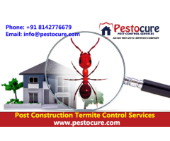 Post-Construction Termite treatment in Hyderabad