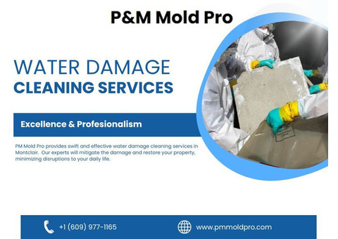 Water Damage Restoration Services | P&M Mold Pro