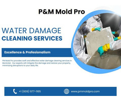 Water Damage Restoration Services | P&M Mold Pro