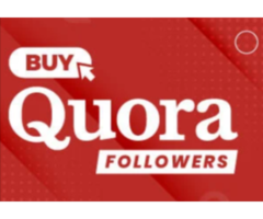 Buy Quora Followers – Safe, Cheap & Active Followers