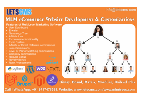Customizations Themes, Plugins, and MLM Business Websites