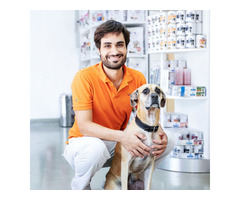 Stay Ahead of Risks: Dog Vaccinations by Al Barsha Veterinary Clinic