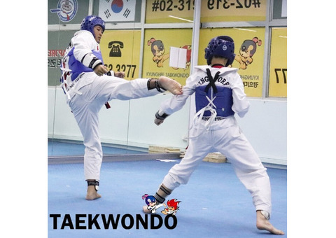 Taekwondo teaches you to fight at all ranges