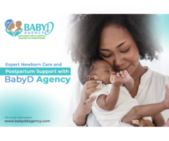 Expert Newborn Care and Postpartum Support with BabyD Agency