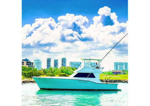 Fishing charters in Cancun