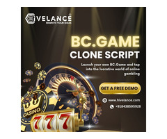 Build Your Own Thriving Online Gaming Business with BC.Game!