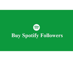 Buy Spotify Followers with Fast Delivery