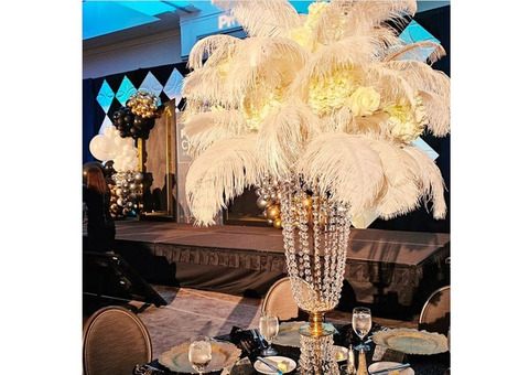 Party Rentals in Stockbridge GA