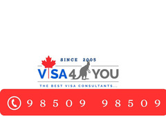 Best Visa Consultant in Pune