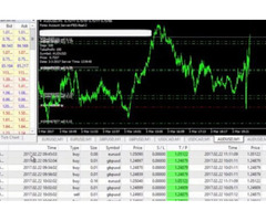 Buy Forex Expert Advisor and Skyrocket Your Profits!