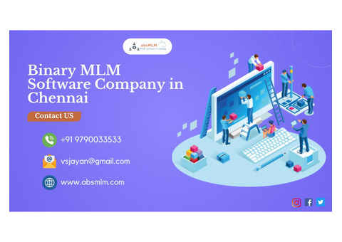 Binary MLM software development company