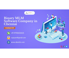 Binary MLM software development company