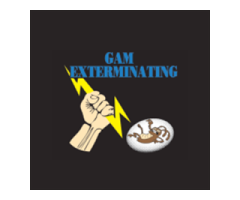 Gam Bed Bug Exterminator Lockport