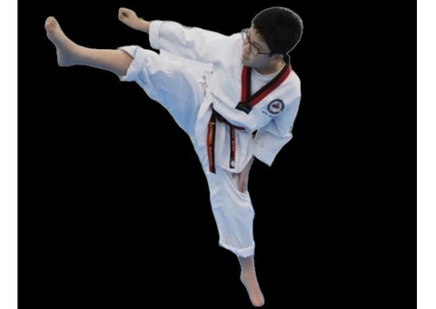 TKD emphasis on dynamic kicking techniques, speed, and agility