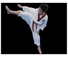 TKD emphasis on dynamic kicking techniques, speed, and agility