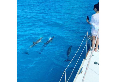 Snorkeling Boat Trips Waikiki