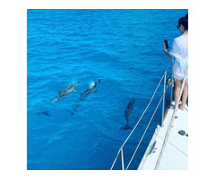 Snorkeling Boat Trips Waikiki