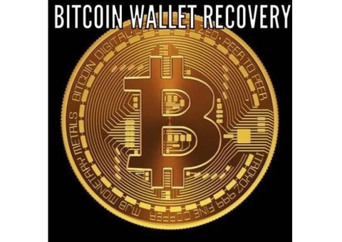 Lost Access to a Major Chain Wallet?