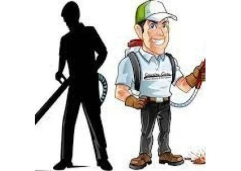 Bed Bugs Control Provider in Bangalore