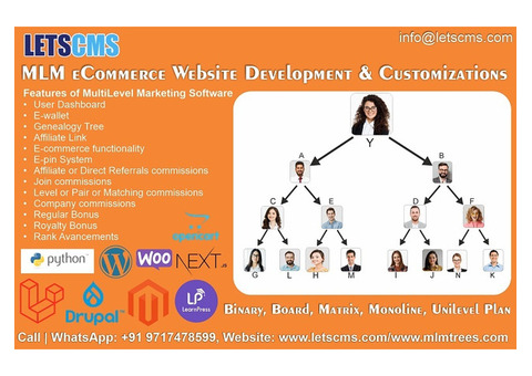 Affordable MLM WooCommerce Website Customization Services in the USA