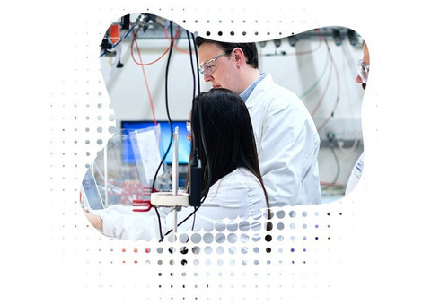Unlocking Immune Responses The Science Of Epitope Mapping