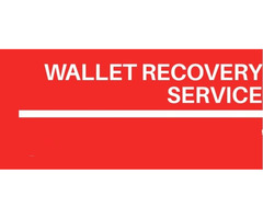 Your Lost Wallet Recovery