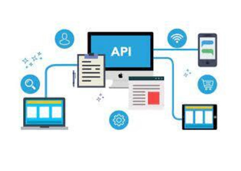 Criminal Background Check API