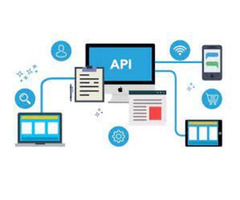 Criminal Background Check API